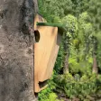 CJ Wildlife fuglekasse til trekryper produktbilde